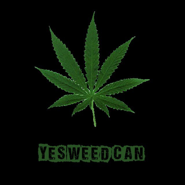 Stoner trying to share my love of WEED with the world. Follow me fellow potheads. #marijuana