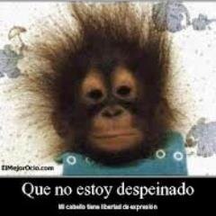 quieres echarte unas risas: sígueme los mejores twets con imágenes graciosas aqui