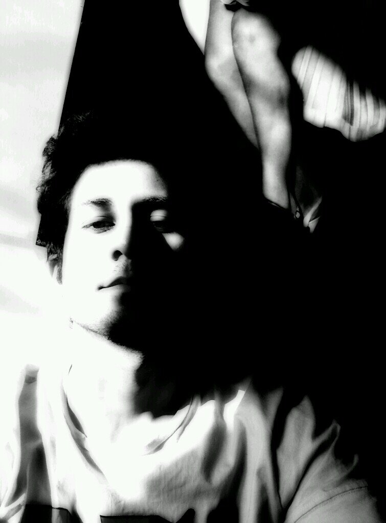 Positively phototropic