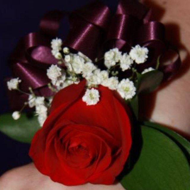 Im sarah i go to gar-field high school im in 11th grade follow me i follow back