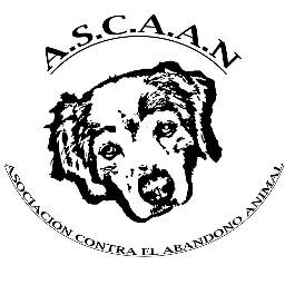 Asociacion contra el abandono animal.              INTERESADOS EN ADOPTAR O ACOGER: ascaan.huellasunidas@gmail.com