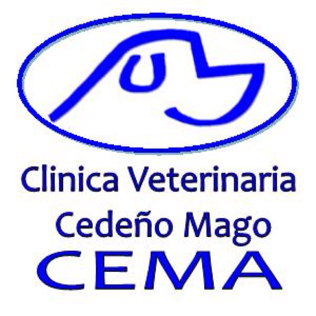 Clinica Veterinaria Cedeño Mago, Excelencia Profesional al servicio de tu Mascota. Traumatologia, Hospitalizacion, Cirugia, Cuidados Intensivos.