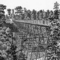 Toronto Ravines (@torontoravines) 's Twitter Profile