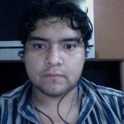 Programador y Diseñador web.