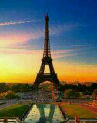 logistech's profile picture. 