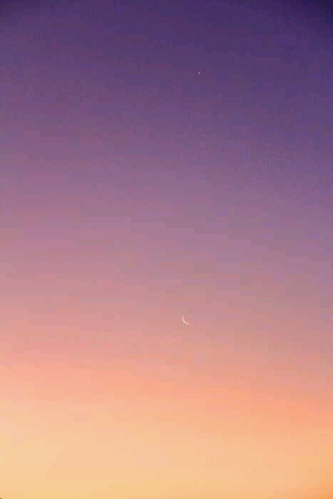 bunnycries's profile picture. #illhueminati