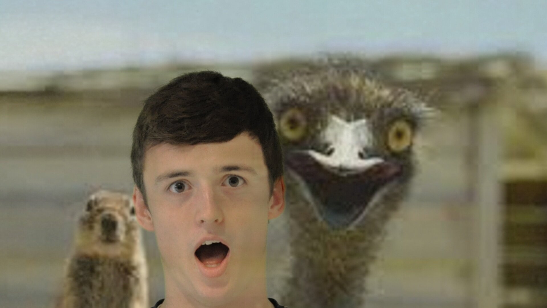 ZachVanDam's profile picture. The One and Only