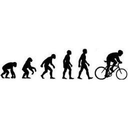 Running, sustainability, health and development, biodiversity. PhD in ecology, MSc in pedagogics. Working as environmental strategist. Visit my blog.