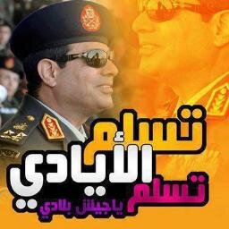 أنا مواطن مصرى اعشق الطبيعة الحرية والتحدى ومعارض لحكم الإخوان ومؤايد للفريق السيسى واشكر الأخوه العرب الأحباب