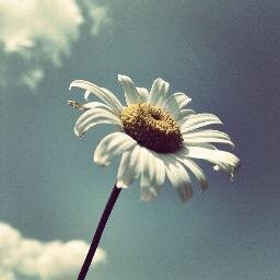 Comparto mis fotos y noticias relevantes sobre #fotografía #congelandoinstantes http://t.co/UjflPcK28G