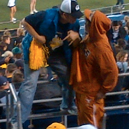 Bleed Blue and Gold, Go Bears!