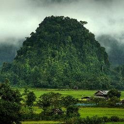 zeemoore's profile picture. 