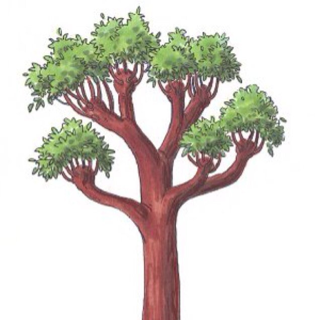 TreeDat's profile picture. 