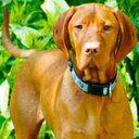 toby ball - @tobyball1970 - Twitter