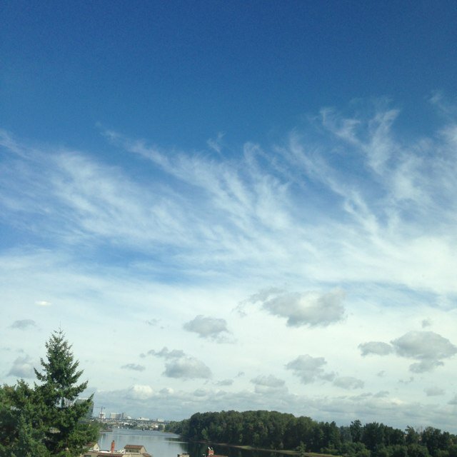 PDX