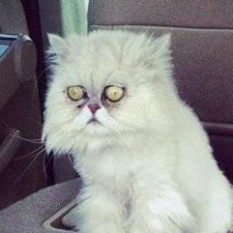 CosminConstan13's profile picture. :D