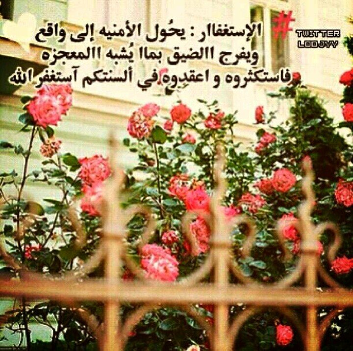 ‏‏‏‏( للهم لا تزغ قلوبنا بعد اذ هديتنا وهب لنا من لدنك رحمه انك انت الوهاب)