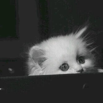 فقط آحتااااجك.....
