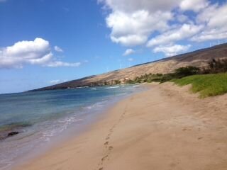 Maui Fan