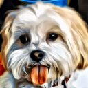 Barbara Eisner - @barbeisner - Twitter