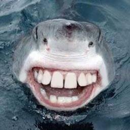 terajules's profile picture. 