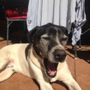 Jane McMurray - @mcchicken73 - Twitter