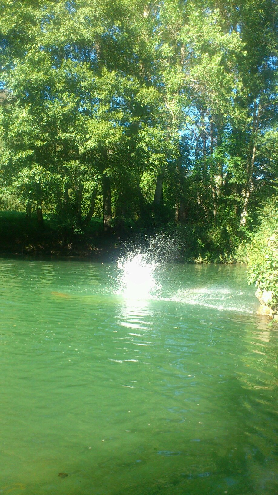 CharlyRioscuro's profile picture. 