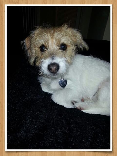 9Karcam's profile picture. hiii