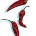 The Chilli Kitchen (@tckjsy) Twitter profile photo