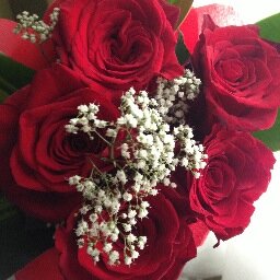 angel_alsoufi's profile picture. 