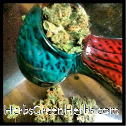 Denver, CO MMJ  http://t.co/090tJO5u0w