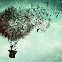 Claro que puedo vivir sin musa, sin hada y sin estrella y aun continuar por infinidad de sendas y olvidarlo todo, taparme los ojos ante el desamor y la muerte..