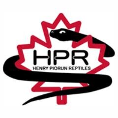 Specializing in Ball Pythons