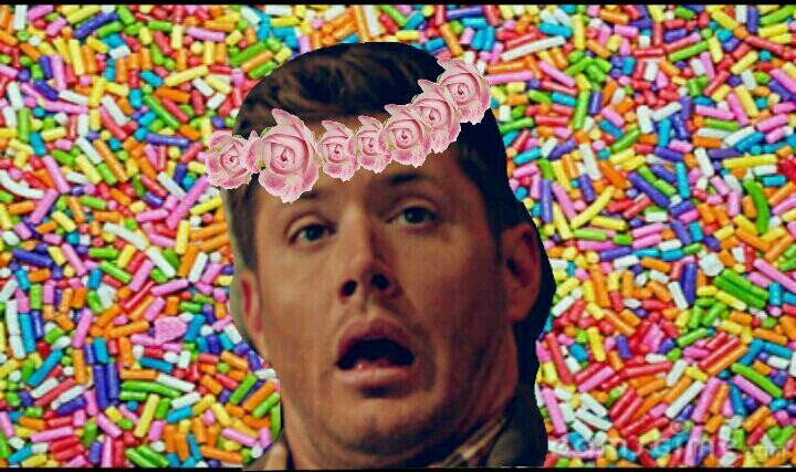 Someone once told me to go get a life so i joined a fandom.