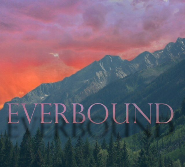 everbound co.