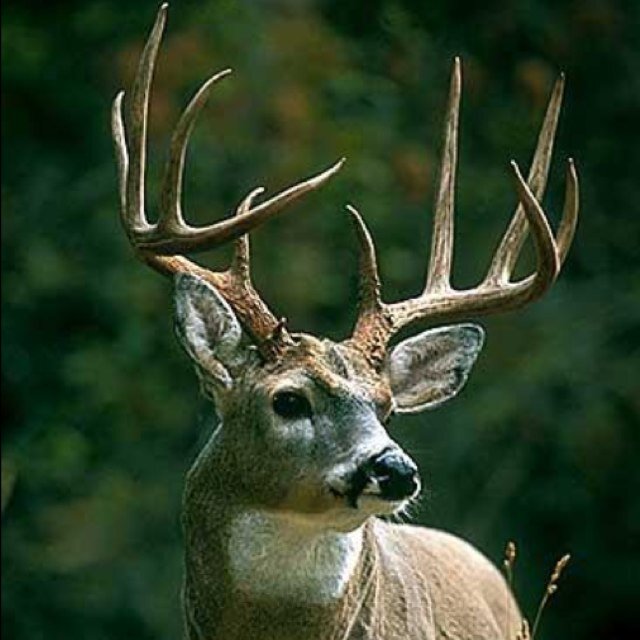 Follow if you love The Great Outdoors!