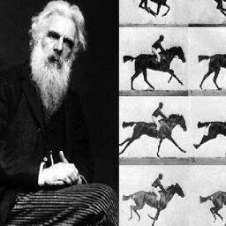 allah_mondo's profile picture. 