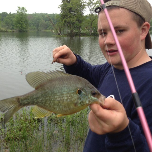 ArbelOwen's profile picture. Owen=bear