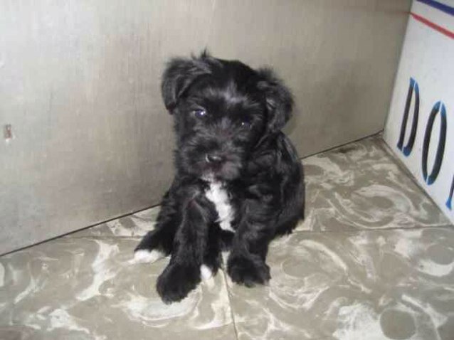 sferez26's profile picture. 