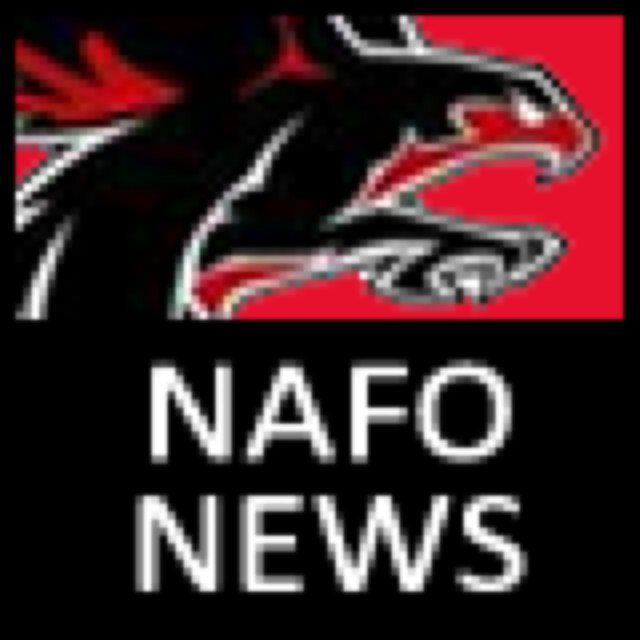 thenafonews's profile picture. The official broadcast program of Nation Ford High School