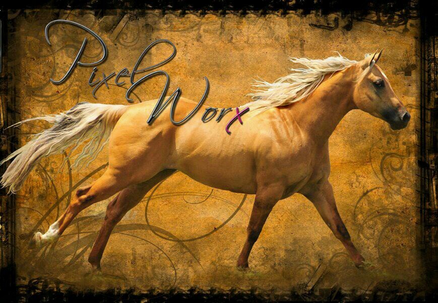 @pixelworxtexas