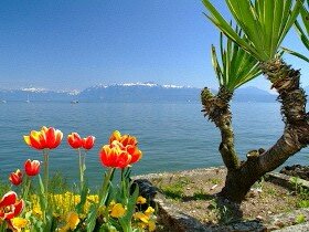 mytech_h's profile picture. 