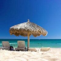 Las Palomas (@las_palomas) 's Twitter Profile