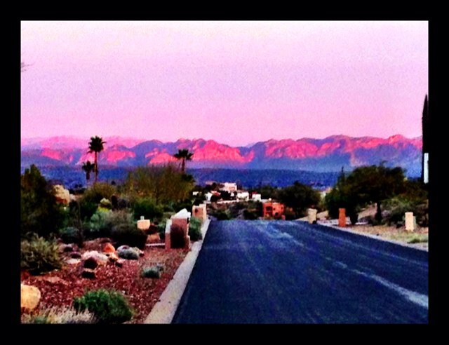 ThielR60AZ's profile picture. 