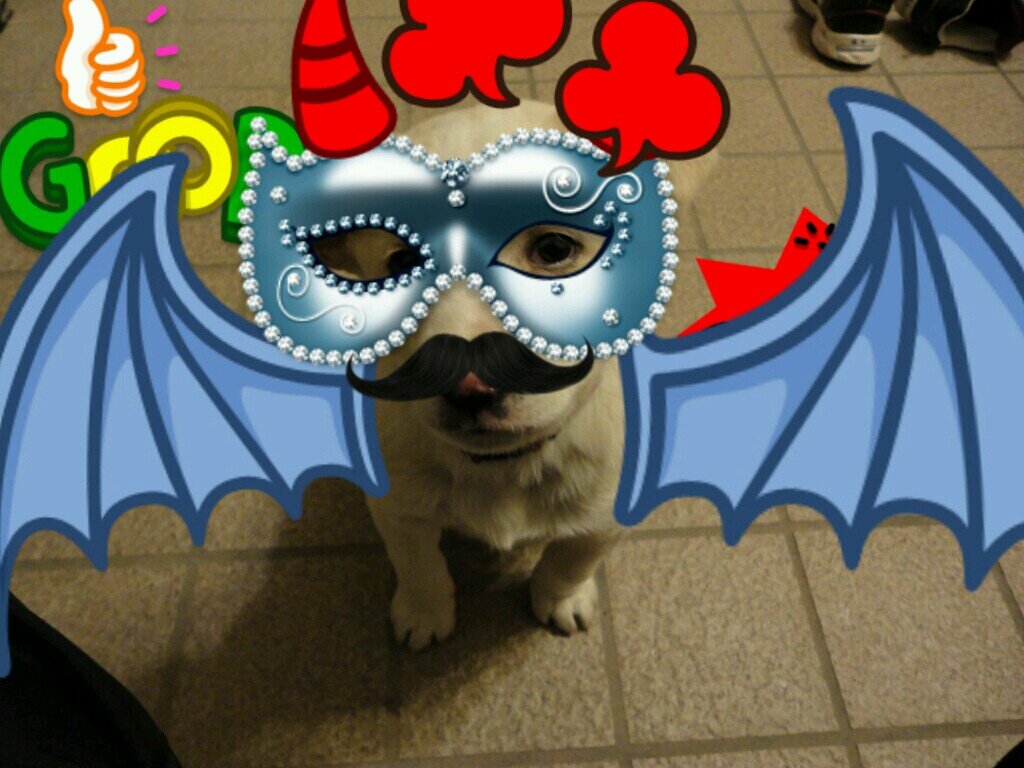 gipsyyung's profile picture. 