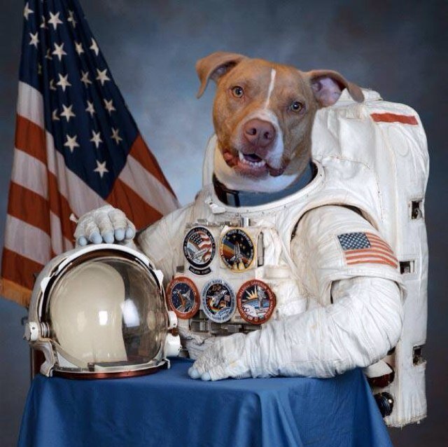 britannica_kid's profile picture. 