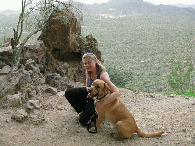 dxparks's profile picture. 