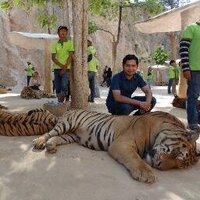 Biswajeet Dash ЁЯЗоЁЯЗ│ (@biswajeetdash) 's Twitter Profile Photo Biswajeet Dash ЁЯЗоЁЯЗ│ (@biswajeetdash) 's Twitter Profile Photo