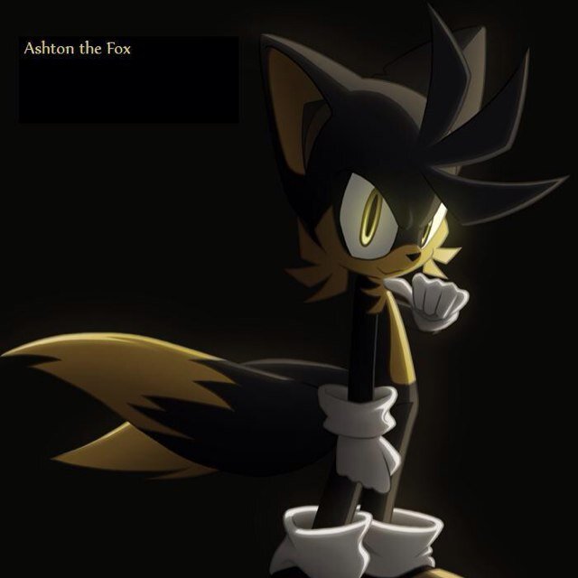 Hi I'm Ashton Prowler! My buds call me Sparky because I'm really good with electronics! My parents are Amadeus Prower and Rosemary Prower!