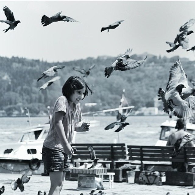 Alaa_Al_Ahmadi's profile picture. From others perspective: I'm enthusiastic,ambitious,dreamer, 
emotional and whatever.... From my: it's all about struggling to be effective ....